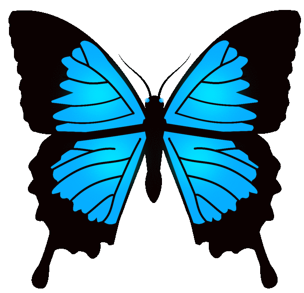 Butterfly animation | OpenGameArt.org